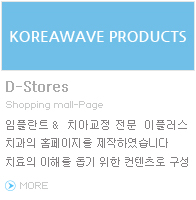 디스토어스홈피